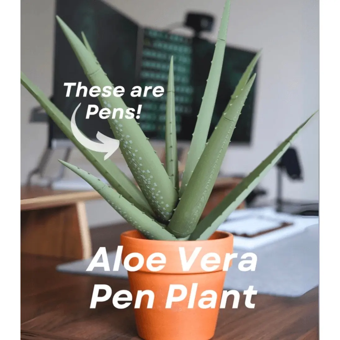 3D Printed Aloe Vera Pen Plant | Each Stem Is A Pen House Plant For People  Who Can't Keep House Plants Alive Decor Pen Holder ForgeCore - TikTok  Shop