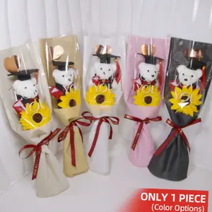 Graduation Plush Flower Bouquet, Perfect for Graduation Season, Back-To-School, Teacher's Day, Christmas, Holiday Parties, Valentine's Gift
