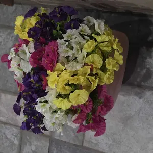 review image 6