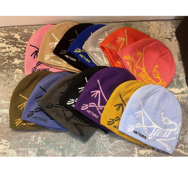 Arc'teryx Knit Beanie Fernie Dino Patch Hat - Comfortable Knit Material with Unique Dino Patch for Everyday Wear