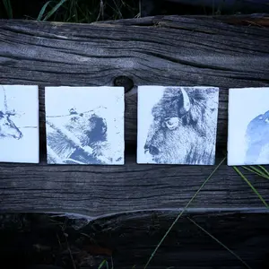4 Inch Ceramic Etched Coasters- Unique Design Featuring Animal Imagery on Each Tile