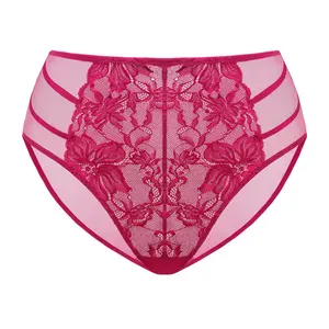 HSIA Pretty In Petals Floral Lace Sheer Mesh Back Underwear High-Rise Brief Matching Panty