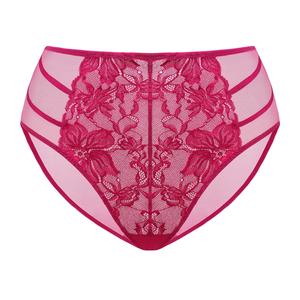 HSIA Pretty In Petals Floral Lace Sheer Mesh Back Underwear High-Rise Brief Matching Panty