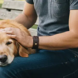 Hyde Leather Bracelet Hyde Leather Bracelet