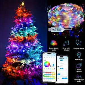 32FT  Smart Fairy Lights, Dream Color Led Lights, APP & Remote Control, Music Synchronized Color Change, USB Christmas Lights, Garden, Wedding, Bedroom, Holiday Party Decoration Lights