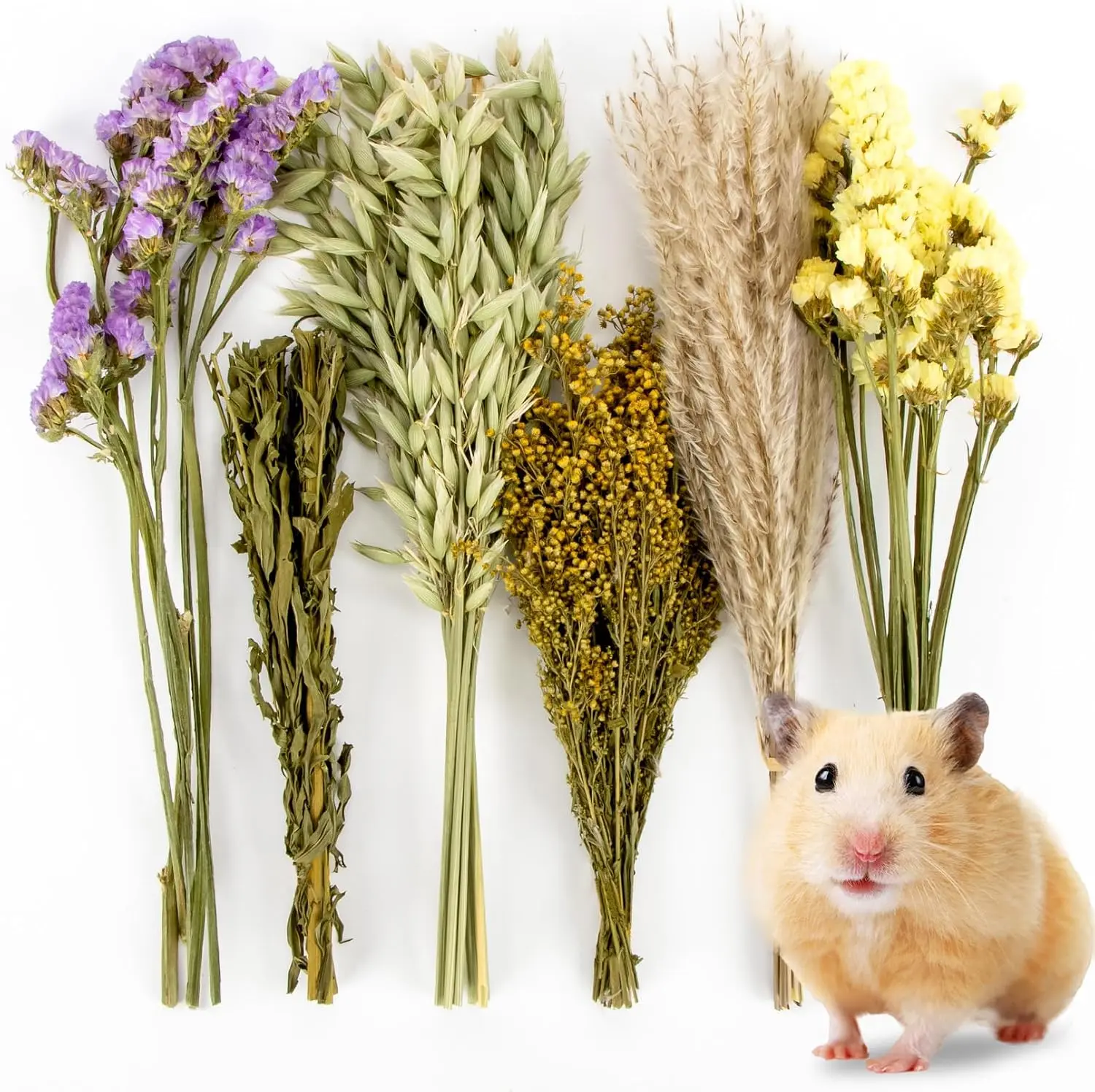 42Pcs Hamster Sprays Natural - Sprays & Forage for Small Animals | Chew Herbs for Syrian Dwarf Hamsters & Guinea Pigs, Habitat Dry Flowers Decor, Hideout Enrichment, Cage & Bedding Accessories