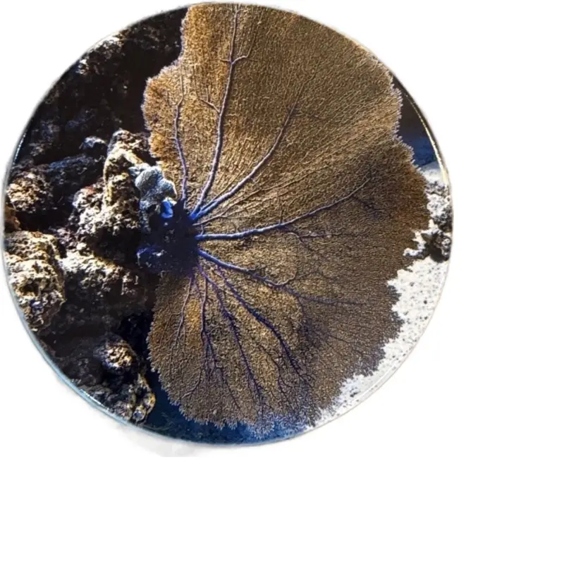 Sea Fan Ceramic Coaster - 3.5 in Round, Original Photography, Tableware Accessory