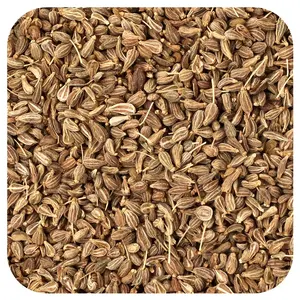 Starwest Botanicals Organic Anise Seed , 1 lb (453.6 g)