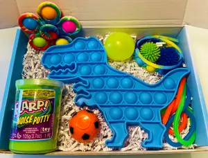 Dinosaur pop it flarp putty fidget box by sweetest fidgets