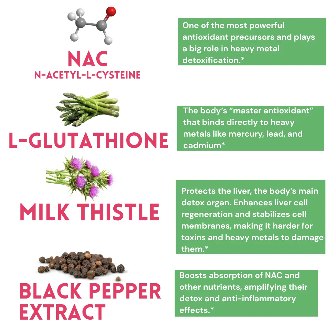 Nafasi Farms All-in-One NAC Supplement 60 Capsules with 600mg N-Acetyl Cysteine 2000mg Milk Thistle & More Natural Ingredients for Liver Health - TikTok Shop Nafasi Farms All-in-One NAC Supplement 60 Capsules with 600mg N-Acetyl Cysteine 2000mg Milk Thistle & More Natural Ingredients for Liver Health - TikTok Shop