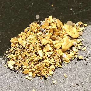 Super Rich 2LB Mother Lode CA Gold Paydirt Guaranteed Natural California Gold Direct from Mariposa County Hand-Packed Premium Quality