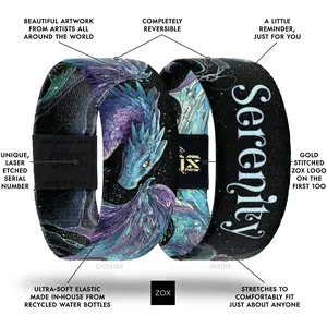 Dragon Bracelet NFC Daily Majestic Inspirational Affirmation Bracelet for Women & Men, New Message Every Tap, Choose Your Topic, Waterproof Reversible Recycled