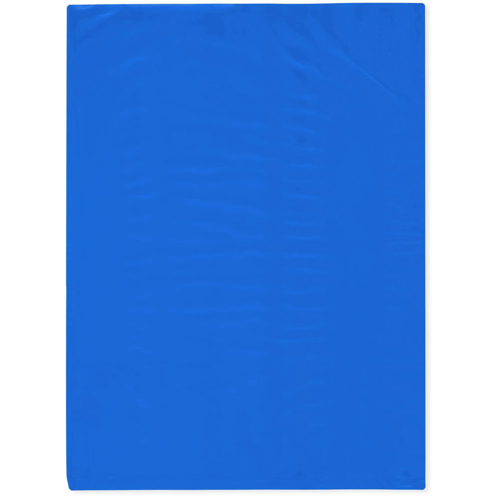 Plymor 9" x 12", Blue 2 Mil Flat Open Plastic Poly Bags