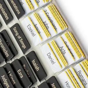Mr. Pen- Catholic Leather Bible Tabs, 160 Tabs, Laminated Bible Tabs for Women and Men, Bible Tabs for Study Bible, Bible Index Tabs, Bible Book Tabs, Bible Labels Tabs, Mr. Pen Bible Tabs