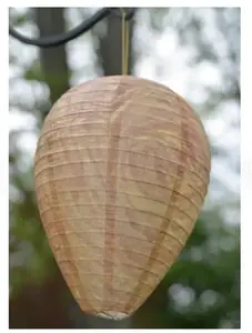 Wasp Deterrent Hives 4 Decoy Nests for Wasps & Yellowjackets Outdoor Garden Wood Protection Natural Wax Paper Collapsible Design