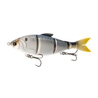 Live Threadfin Shad