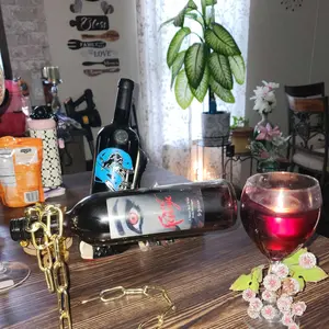 Magic Floating Chain Wine Bottle Holder | Nordic Abstract Art Decor  Welded Solid Structure, Gravity Defying Wine Rack for Home Bar