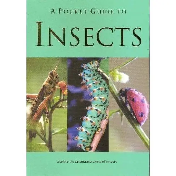 USED-A Pocket Guide to Insects (Pocket Guides) by Patrick Hook (Paperback)