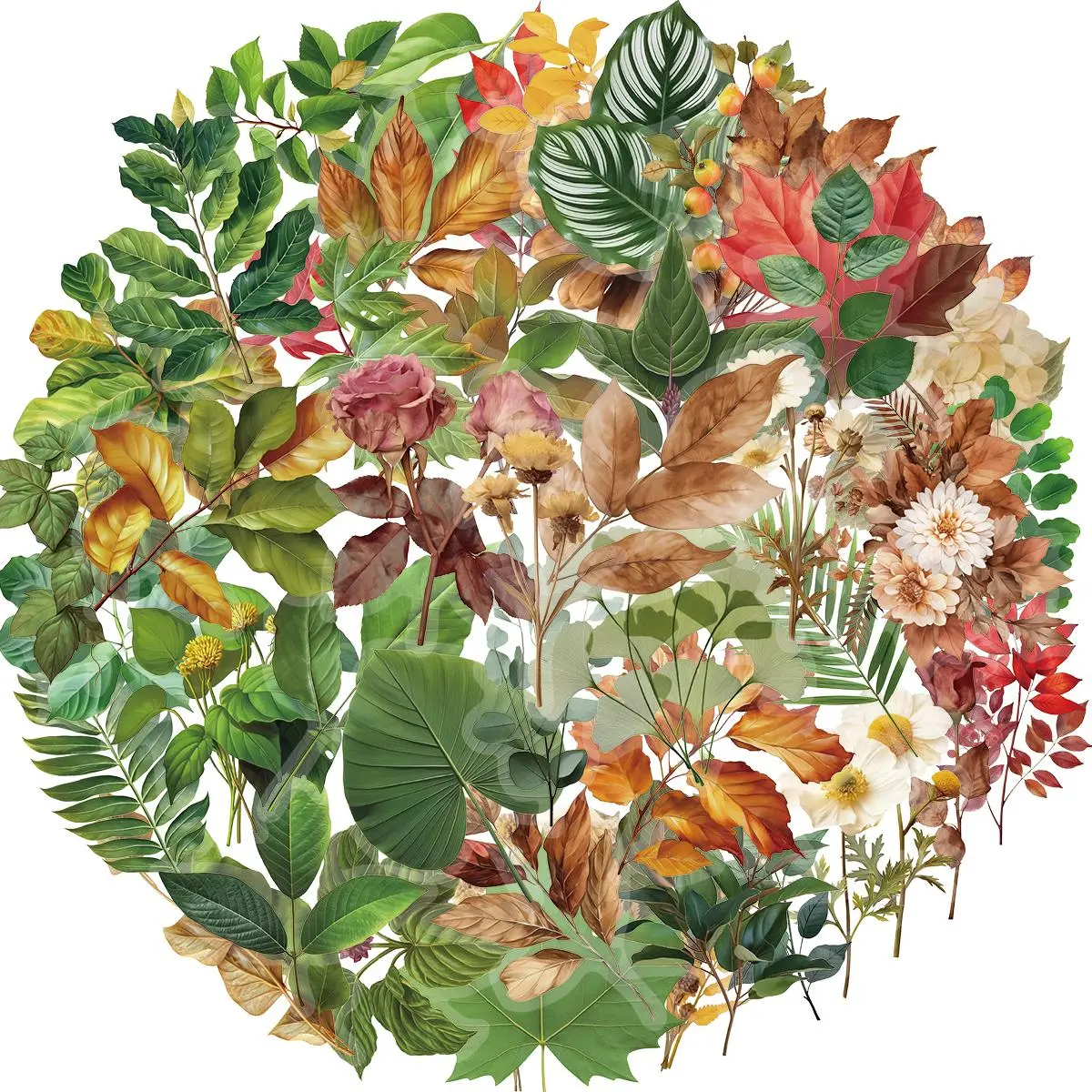 Plant Pattern Sticker, 50pcs/set Round Self Adhesive Decorative Stickers, DIY Decals for Water Bottle, Laptop, Phone Case, Scrapbooking, Journal Making, Ornaments