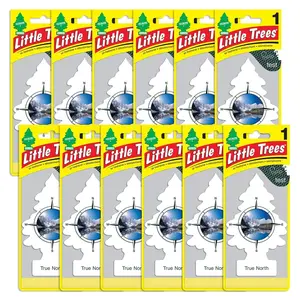 Little Trees Air Fresheners, Car, Home, Office, Truck, True North (True North) Pack of 12