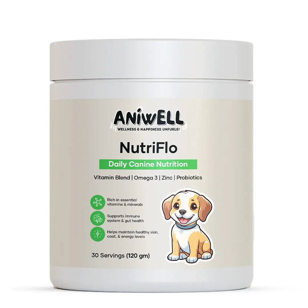 Aniwell NutriFlo for Dogs: Premium Multivitamin and Nutritional Supplement for Dogs Daily Canine Wellness Aniwell NutriFlo for Dogs: Premium Multivitamin and Nutritional Supplement for Dogs Daily Canine Wellness