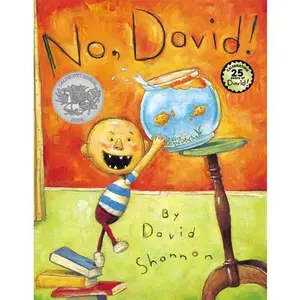 No, David! (25th Anniversary Edition) -- David Shannon, Hardcover