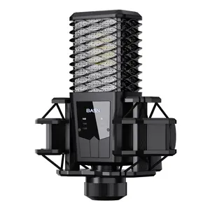BASN BMS2 Large Diaphragm Cardioid Pickup Studio Condenser XLR Microphone for Recording, Podcasting, Singing, Streaming in Alambrico - Audio karaoke   Microphone youtube   microphone  wireless  Portable Wireless Karaoke  sound system micro hone powerhub