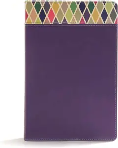 CSB Rainbow Study Bible, Purple Leather Touch