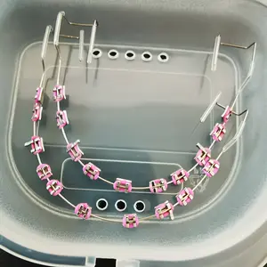 Set of 2 Upper And Lower Metal Braces with Hooks - Stylish Pink And Purple Tooth Decorations, Suitable for Teaching Models, Unisex Additions - Decorations for Christmas, Halloween, And Thanksgiving - Durable, Corrosion-Resistant, Odorless, Support