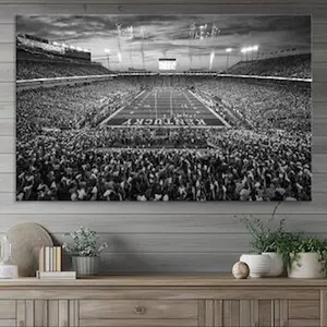 Kentucky Football Stadium Print - Kroger Field Stadium Wall Art - University Football Gifts for Him - Wall Decor for Office and Home