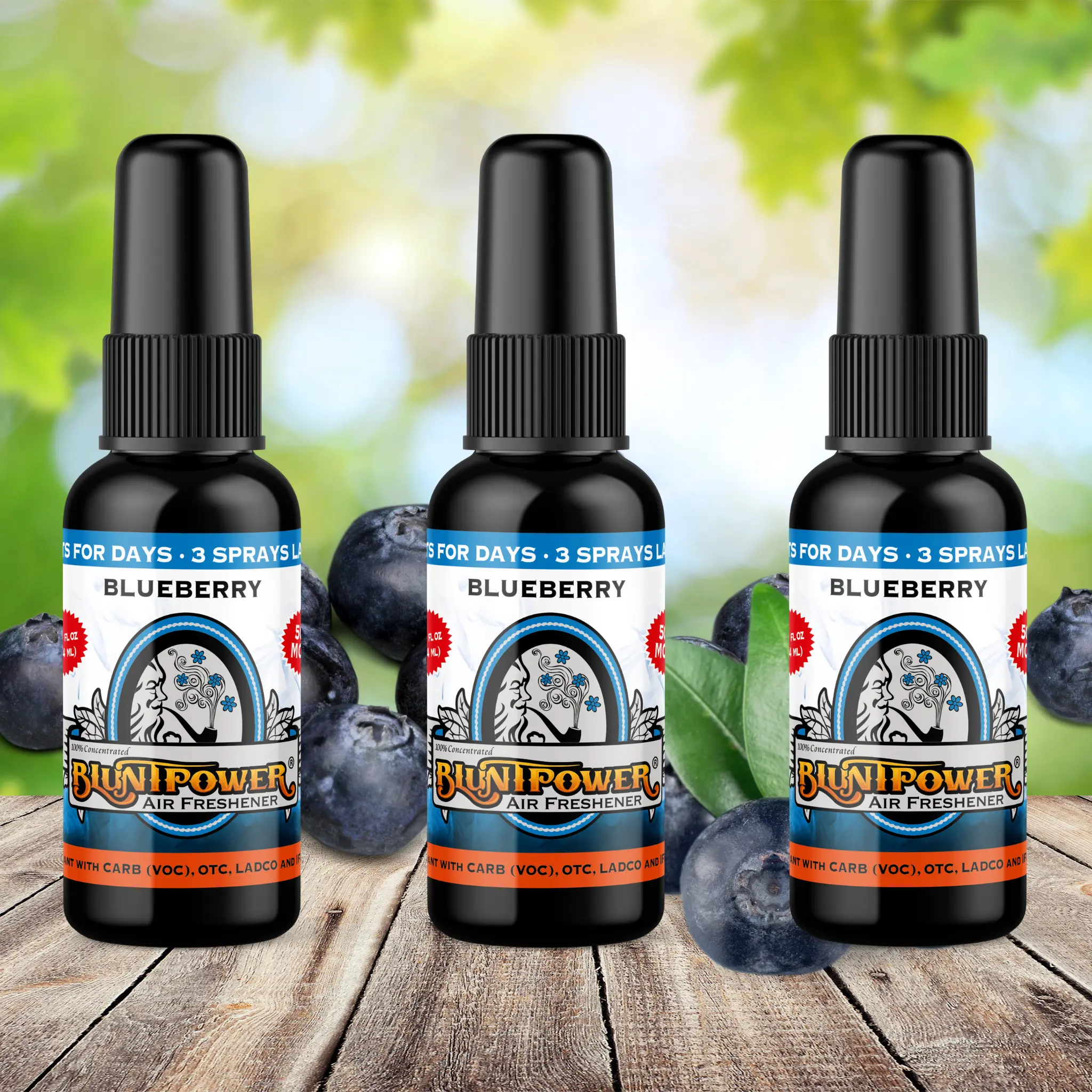 Blueberry Spray Air Freshener Bundle (3 Pack) Blueberry Spray Air Freshener Bundle (3 Pack)