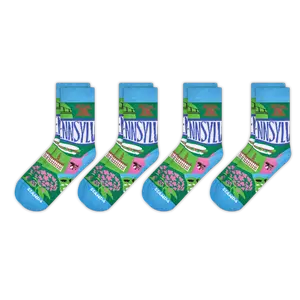 Pennsylvania State Sock 4-Pack