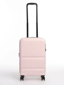 [FLASH SALE] Carry-On Companion Luggage
