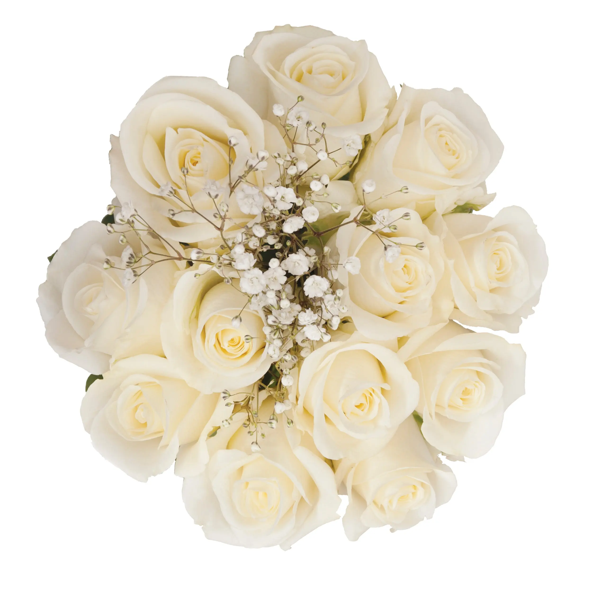 Dozen White Roses Bouquet