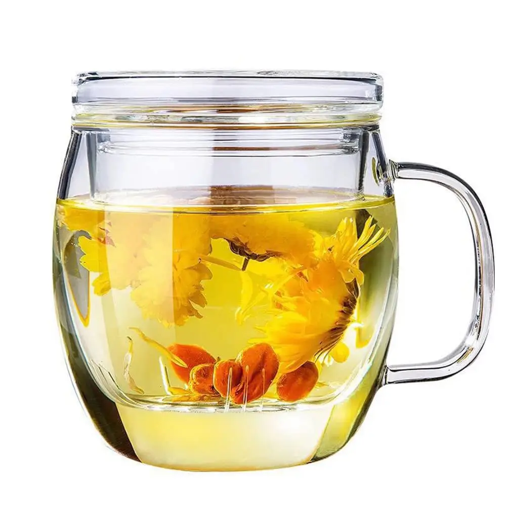 500 ml (17 oz) Glass Tea Cup with Tea Filter and Lid Borosilicate Glass Mug Suitable for Loose Leaf Tea Cup Filter Black Premium Tea Brewing System