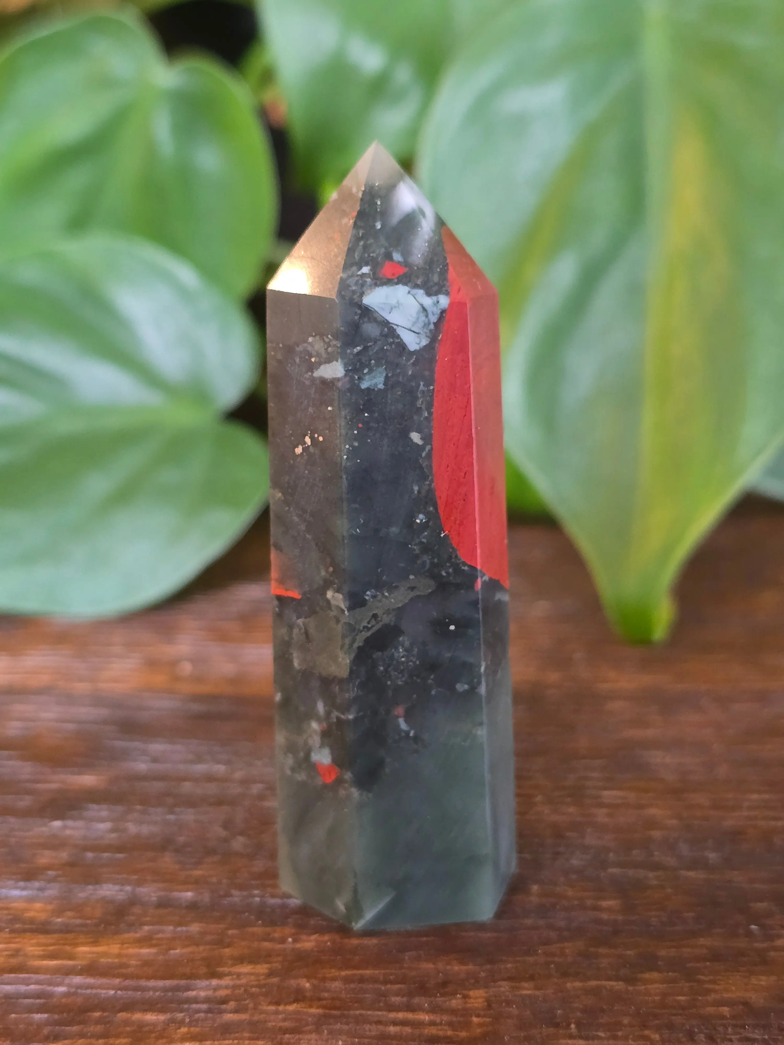 African Bloodstone Crystal Point "I"