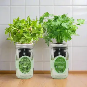 Exotic Greens - Thai Basil, Parsley