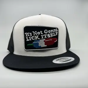 It's Not Gonna Lick Itself Trucker Hat, Funny Hat, Retro Mesh Back Snapback, Summer Hat, Hunting Hat, Fishing Hat, Personalized, Gifts, For Him, For Her