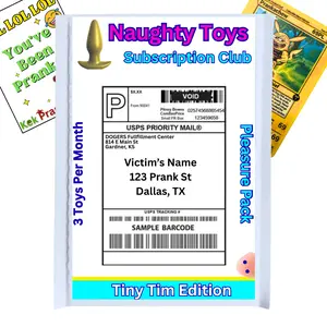 Anonymous Mail Prank: Naughty Toys. Hilarious Prank Mailed Directly to Victim, Family, or Friends - Funny Gift for Birthday, April Fools Day or Fun Gag gift