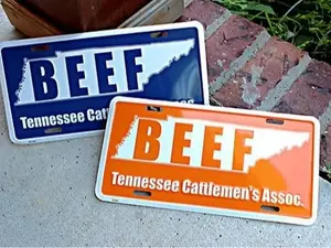 Tennessee Cattle man BEEF License Plate with State Outlined