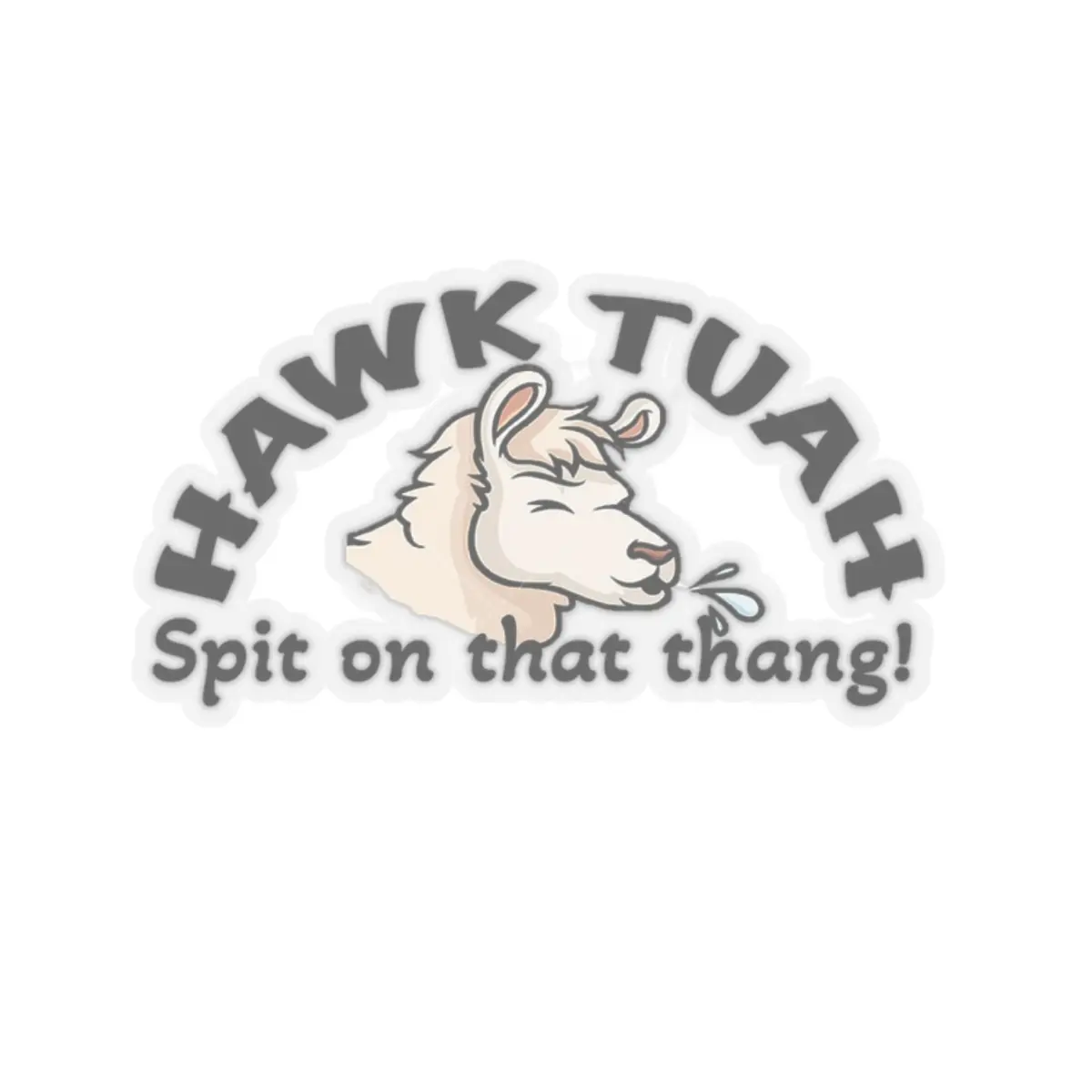 HAWK TUAH! Stickers