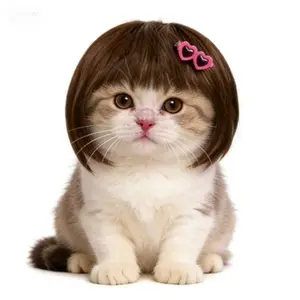2026 New Funny Pet Wig with Cool Sunglasses Headwear, Multi-Color Party Costume Accessories for Dogs Cats
