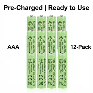 AAA Rechargeable Batteries 1.2V NiMH Nickel Hydride, Pre-Charged Ready to Use, 600mAh, 12-Pack for Remotes Toys Clocks