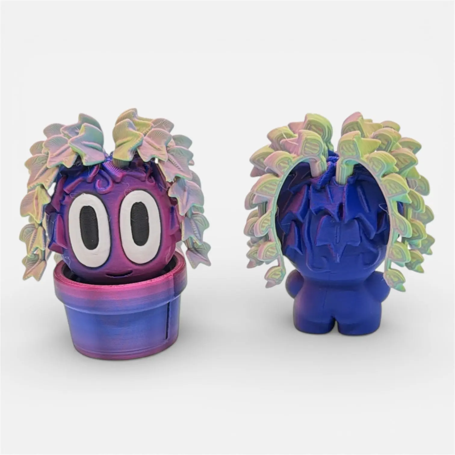 SMALLZ Ivy Red/Blue/Flourite