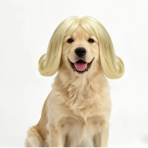 LAST STOCK Pet Wig Accessory - Funny Hand-sewn Durable Curly Bangs Rayon Fabric with Elastic Band, 25 cm Head Circumference, for Cosplay Parties, Halloween, Dog-Cat DIY Cut Hair Accessory