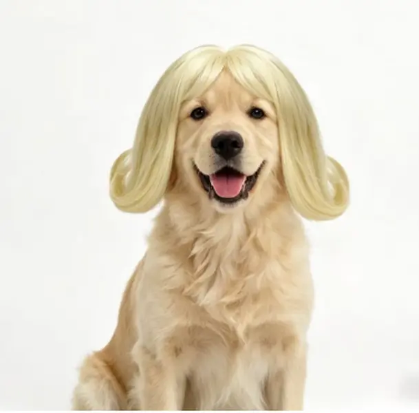 LAST STOCK Pet wig ,Pet transformation ,Pet in wigs,Funny  Pet catcosplay, cute design, Pet Wigs for Halloween Christmas Parties Festivals Dog Wigs