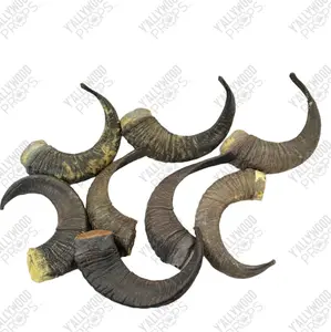 Foam Ram Horn Props Black Adam