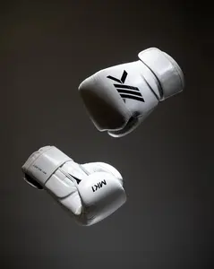 Select Hook & Loop Boxing Gloves