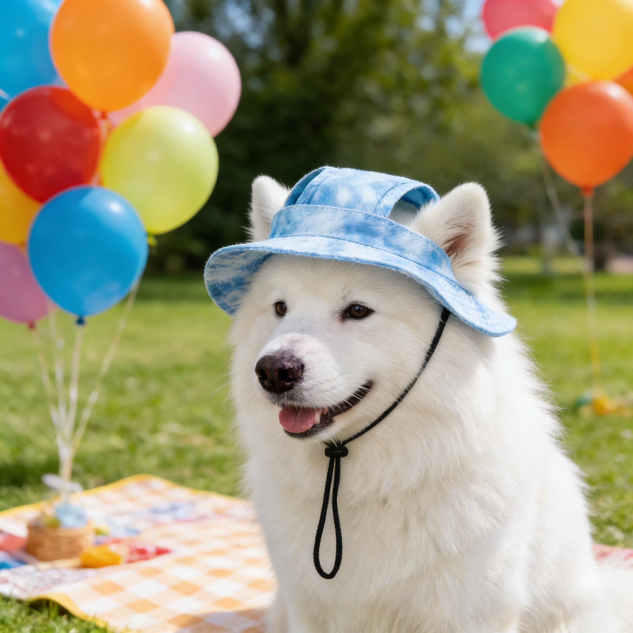 Dog and Cat Sun Hat with Ear Holes | Summer Pet Sun Protection Cute Hat, Adjustable Outdoor Travel Sun Protection Sport Hat for Cats and Dogs(Blue S/M/L)