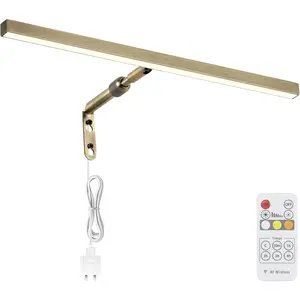 LED Picture Lights for Paintings Plug in 16 Inch 4W Adjustable Art Light Gallery Wall Light for Display Art Work Antique Brass Finish CRI90+ 3000K Warm White